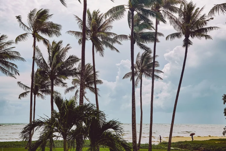 Collage of Hina and Shamshir’s portrait in front of a palm-lined beach in Koh Samui