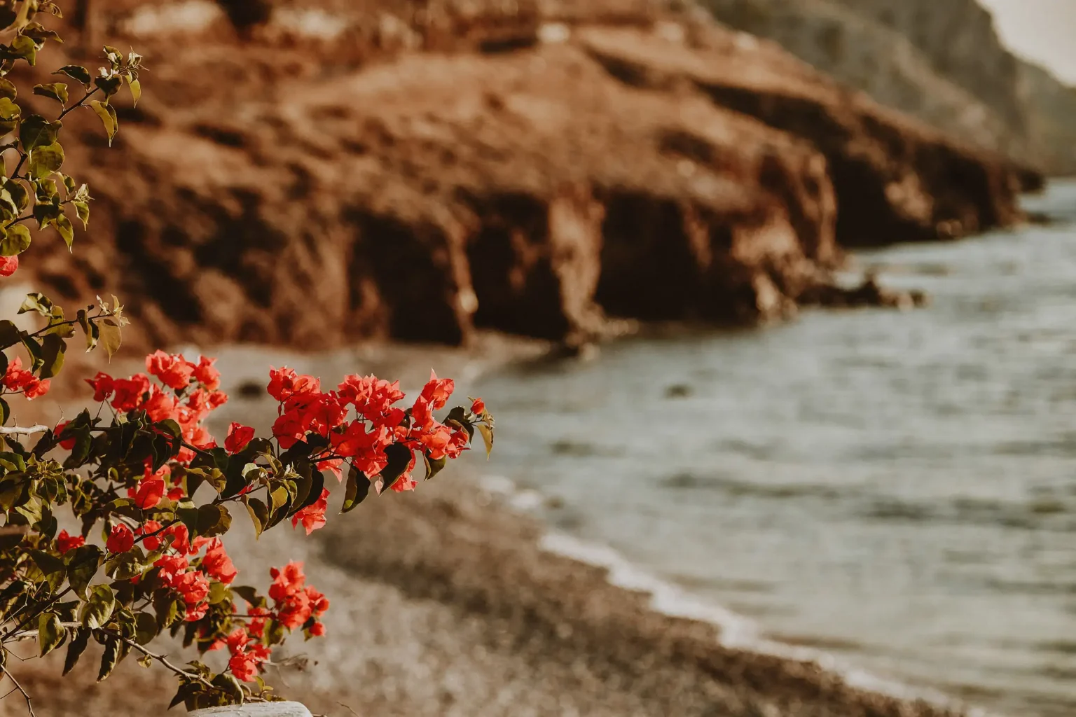 Red bougainvillea overlooking the rocky shoreline and sea in Hydra