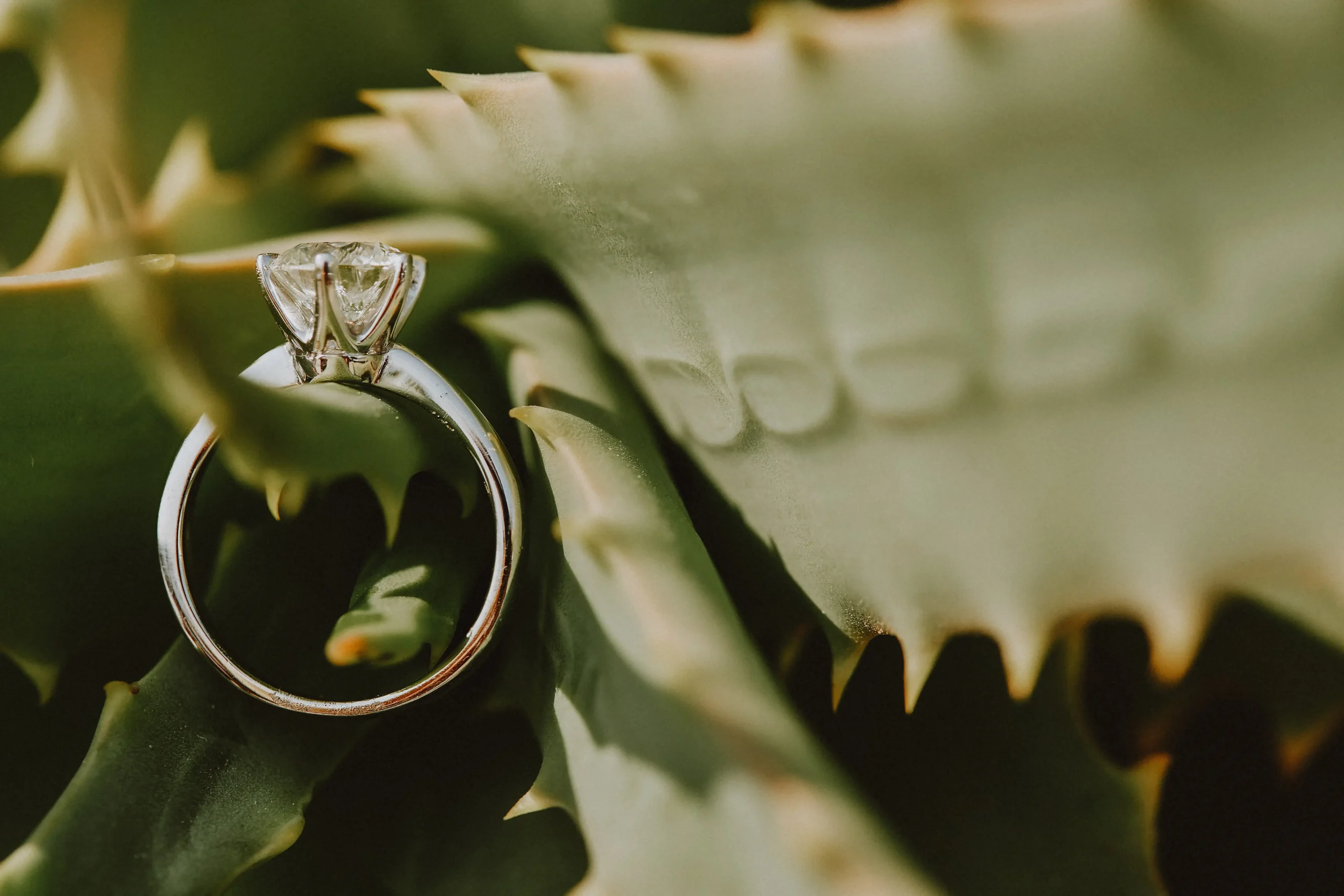 mykonos elopement photos