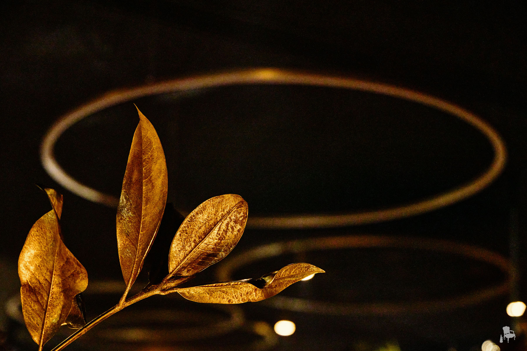 studio 7 wedding decoration