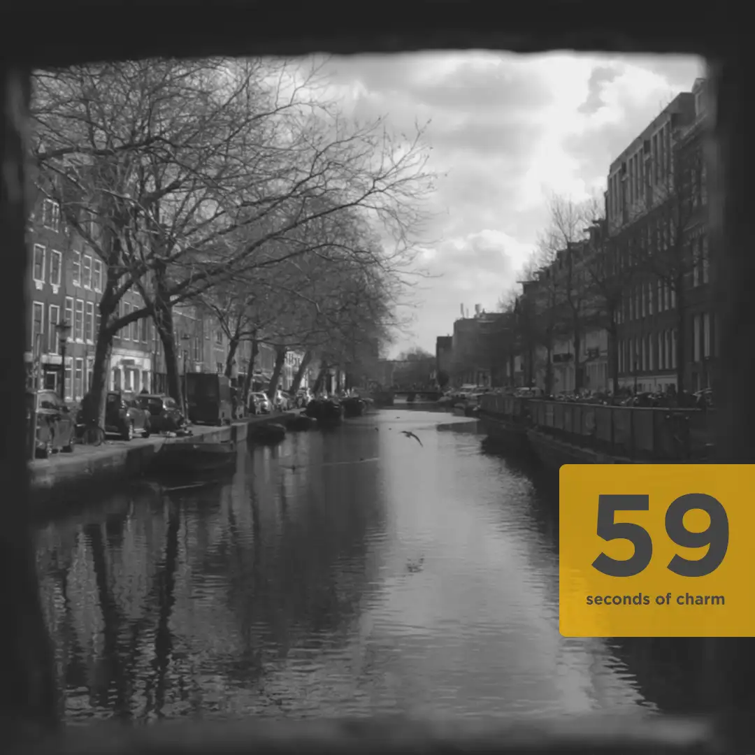 Cinematic wedding teaser Amsterdam