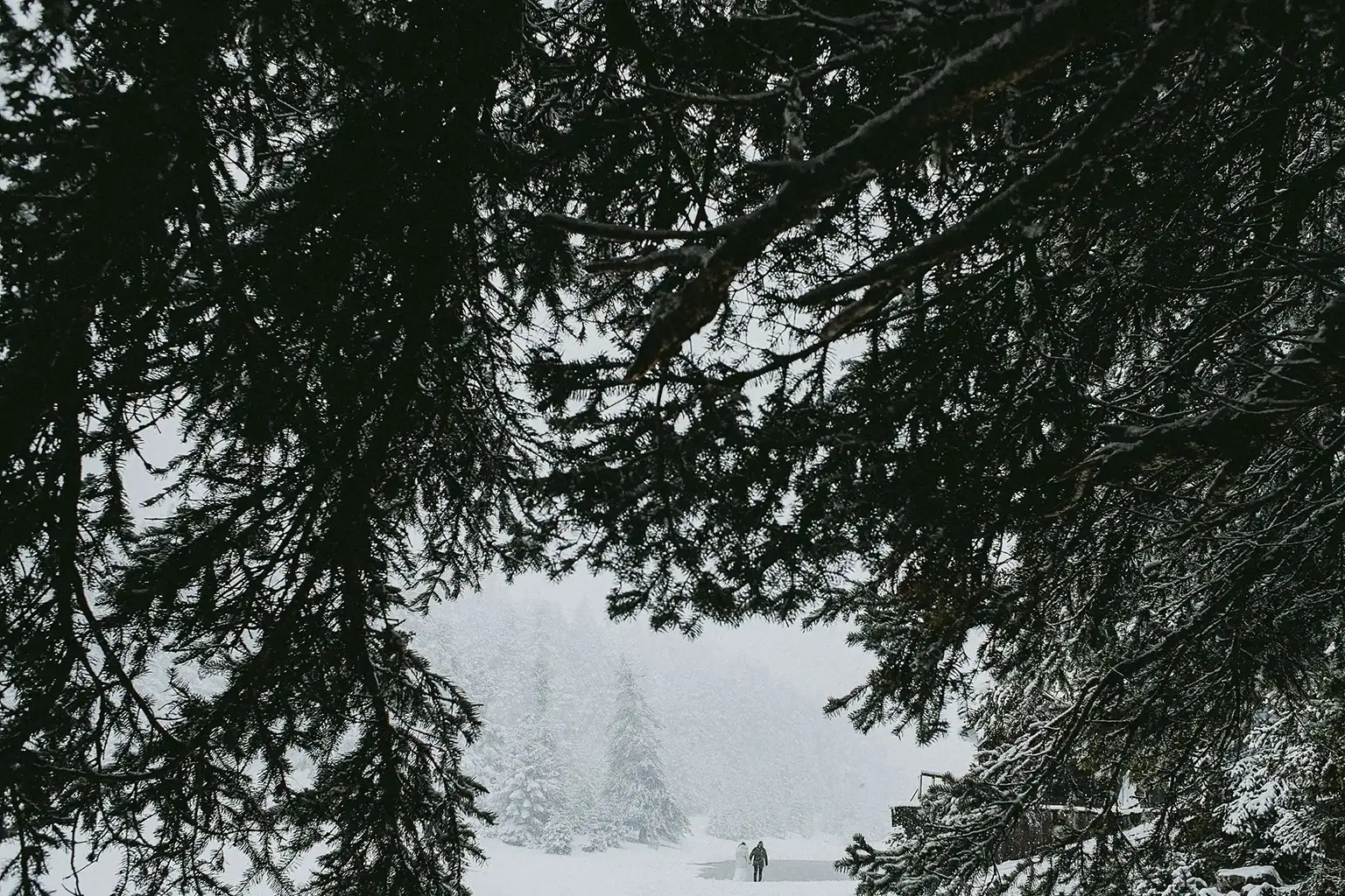 Elena and Vassilis in a snowy clearing in Parnassos, framed by dark fir branches